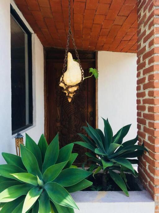 Finca Taino. Hermosa Casa Con Alberca Jiutepec Bagian luar foto