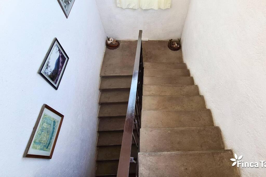 Finca Taino. Hermosa Casa Con Alberca Jiutepec Bagian luar foto